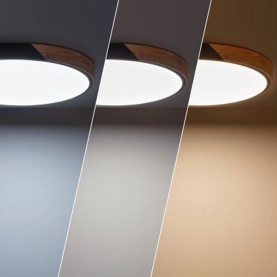 Abruzzo Lagio plafon 1x36 W czarny-drewno ABR-PLOG-C-40W