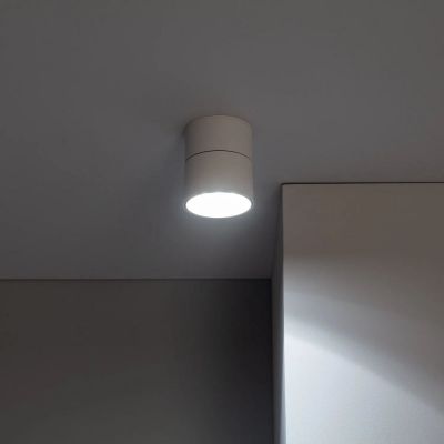 Abruzzo Estetica LED Romeo lampa podsufitowa 1x15 W LED biały ABR-LPR-15W-B-NW