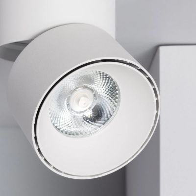 Abruzzo Estetica LED Romeo lampa podsufitowa 1x15 W LED biały ABR-LPR-15W-B-NW