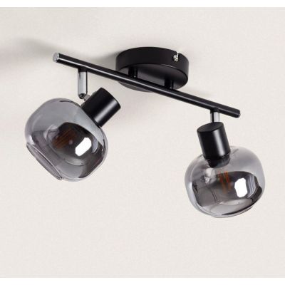 Abruzzo Nino lampa podsufitowa 2x20 W czarna-przydymiona-srebrna ABR-SLWN-2XE14