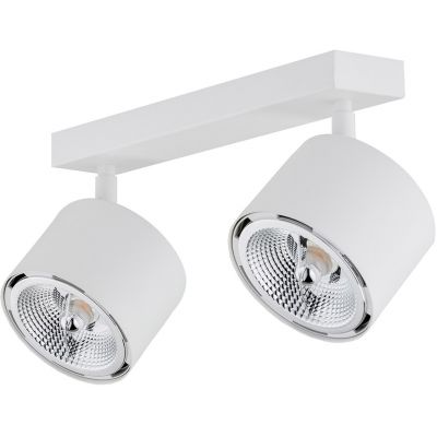 Argon Clevland lampa podsufitowa 2x12W biały 1031BZ