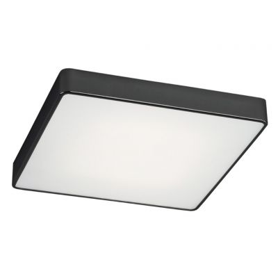 Argon Ontario plafon 1x32W LED czarny 3576