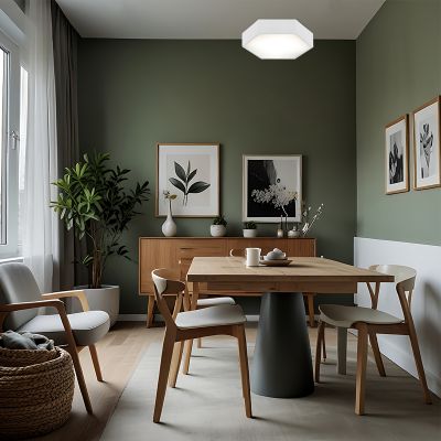 Argon Arizona plafon 1x22,5W biały 3827