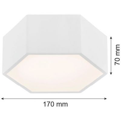 Argon Arizona plafon 1x9W biały 3828