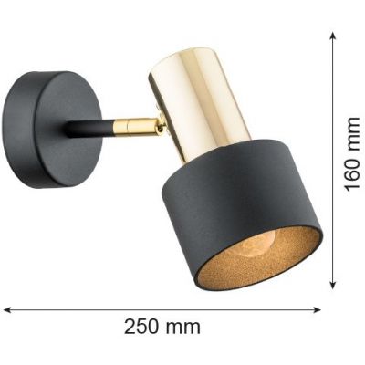 Argon Doria kinkiet 1x15W czarny/mosiądz 4265