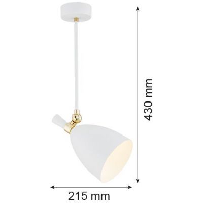 Argon Charlotte lampa podsufitowa 1x15W biały/mosiądz 4684