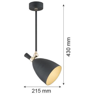 Argon Charlotte lampa podsufitowa 1x15W czarny/mosiądz 4686