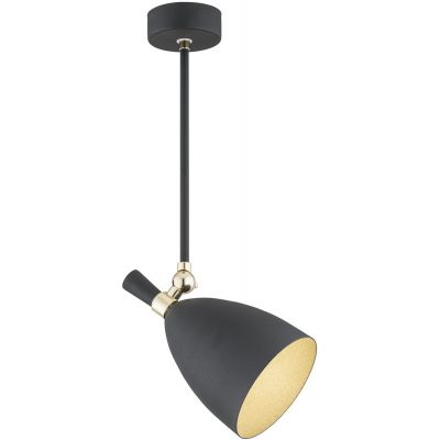 Argon Charlotte lampa podsufitowa 1x15W czarny/mosiądz 4686