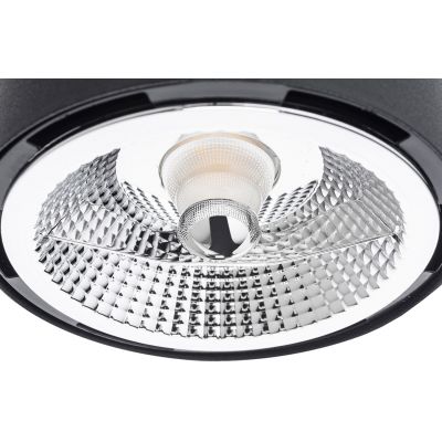 Argon Clevland lampa podsufitowa 1x12W czarny 4691BZ
