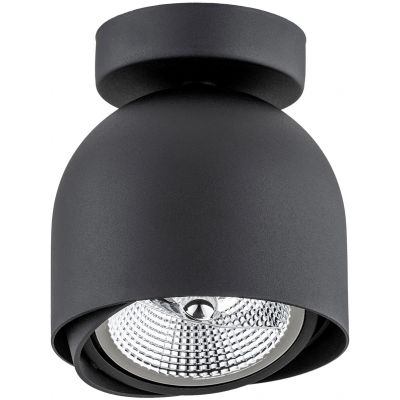 Argon Garland lampa podsufitowa 1x12W czarny 4711BZ