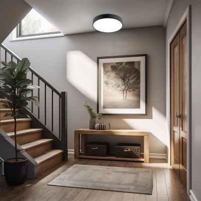 Argon Tiamo plafon 1x22W LED czarny 8348