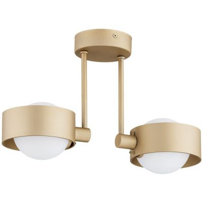 Argon Massimo Plus lampa podsufitowa 2x6 W biała 7215