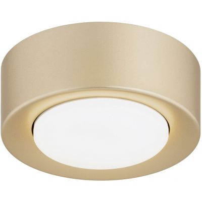 Argon Elora plafon 1x12 W złoty 8903