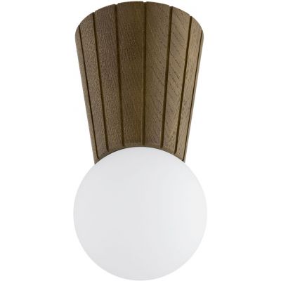 Argon Volante lampa podsufitowa 1x6 W drewno-opal 8974