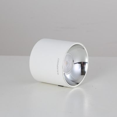 Blaupunkt Spot Roller lampa podsufitowa 1x10W LED biała DLW10WW