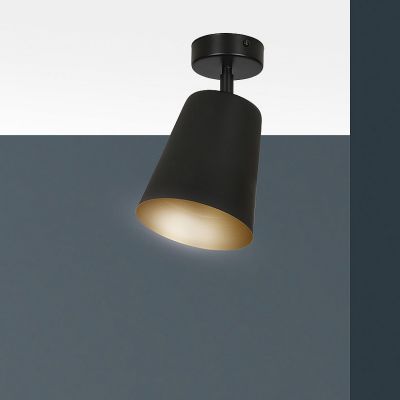 Emibig Prism lampa podsufitowa 1x60W czarny/złoty 406/1