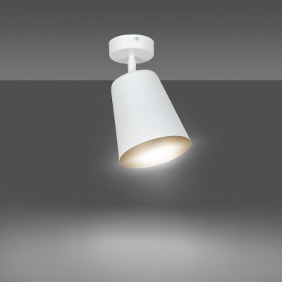 Emibig Prism lampa podsufitowa 1x60W biały/złoty 407/1
