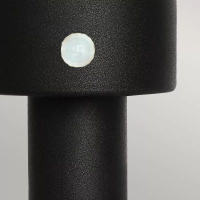 Elstead Lighting Helsingor lampa stojąca zewnętrzna 1x60 W z czujnikiem ruchu czarna HELSINGOR-PIR-PED-BK