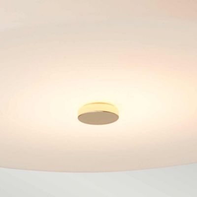 Elstead Lighting Tamar plafon 1x5,7 W LED polerowany złoty TAMAR-F-L-PG