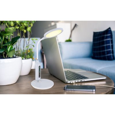 Globo Lighting Fruggy lampa biurkowa 1x9 W chrom-szara 58435G