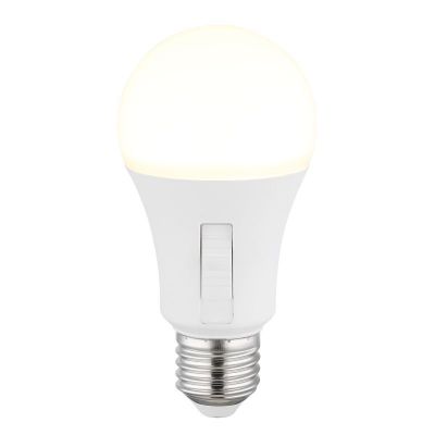Globo Lighting Bulb żarówka LED 1x9 W K E27 10615