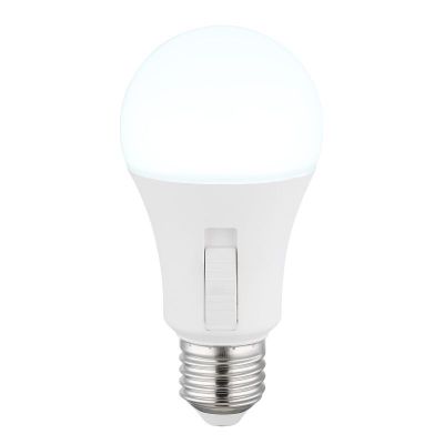 Globo Lighting Bulb żarówka LED 1x9 W K E27 10615