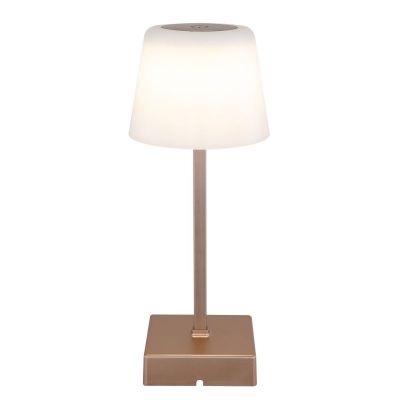 Globo Lighting Xayden lampa stołowa 1x2 W szampański 28061CH