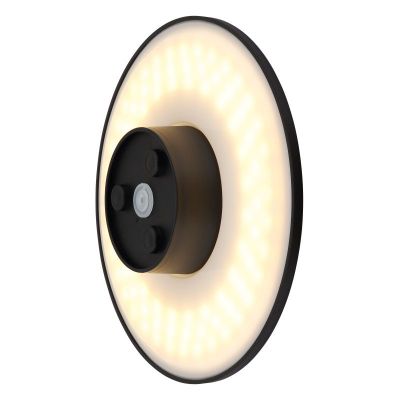 Globo Lighting Lamont kinkiet zewnętrzny 1x15 W czarny 34314S