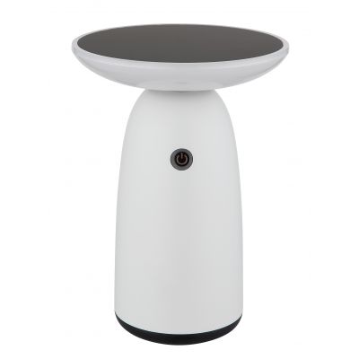 Globo Lighting Solar lampa stojąca 1x10 W biały 36625W