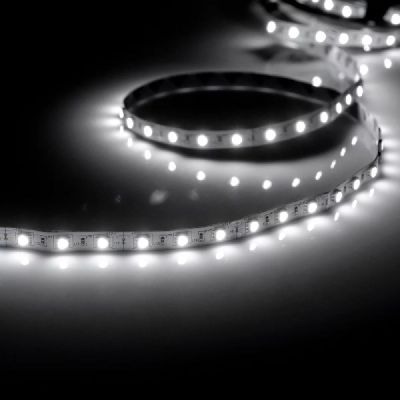 Goldlux taśma LED 500 cm 28 W 306500