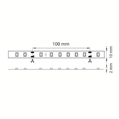 Goldlux taśma LED 500 cm 28 W 309051