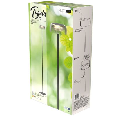 Goldlux Trypolis lampa stojąca 1x2 W czarna-przezroczysta 329929