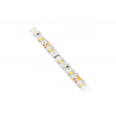 GTV taśma LED 500 cm 30 W LD-2835-300-65-CB
