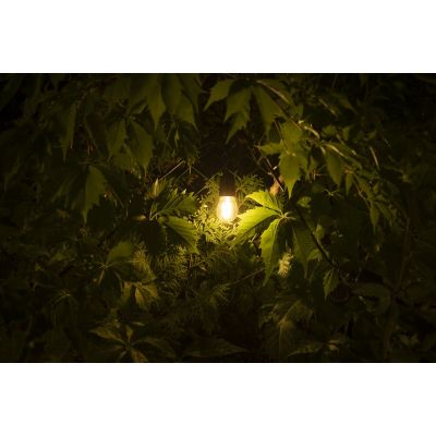 GTV żarówka LED 1x0,5 W 2700 K E27 LD-S14FLE05-30