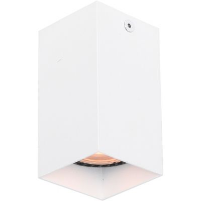 Italux Ander lampa podsufitowa 1x10 W biała CLN-28394-S-WH