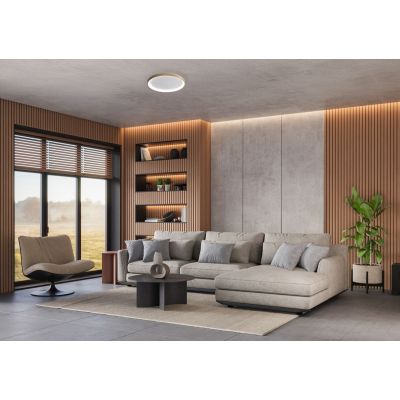 Italux Raden plafon 1x40 W złoty CLN-3151-S-GD