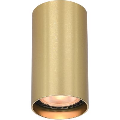 Italux Lopus lampa podsufitowa 1x10 W złota CLN-48930-S-GD