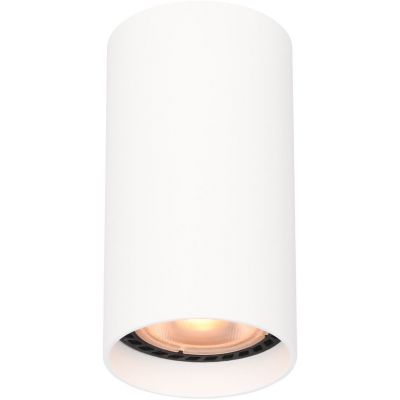 Italux Lopus lampa podsufitowa 1x10 W biała CLN-48930-S-WH