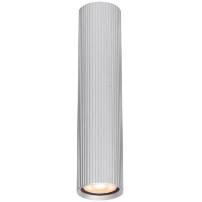 Italux Rilok lampa podsufitowa 1x10 W aluminium CLN-83920-L-ALU