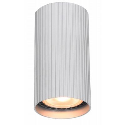 Italux Rilok lampa podsufitowa 1x10 W aluminium CLN-83920-S-ALU