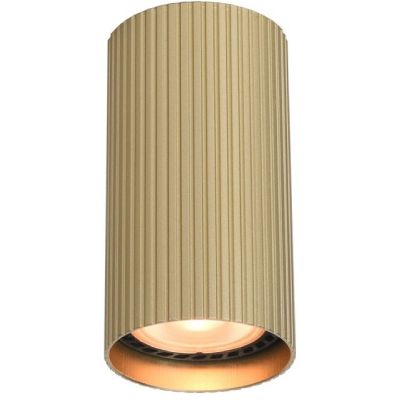 Italux Rilok lampa podsufitowa 1x10 W złota CLN-83920-S-GD