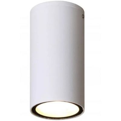 Italux Fano lampa podsufitowa zewnętrzna 1x3 W biały piaskowany OPN-2002-3K