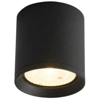 Italux Cervia lampa podsufitowa zewnętrzna 1x15 W czarny piaskowany OPN-2007-3K