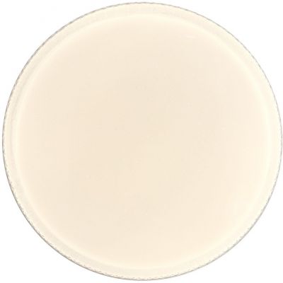 Italux Borla plafon 1x18 W biały PLF-63748-M-CL