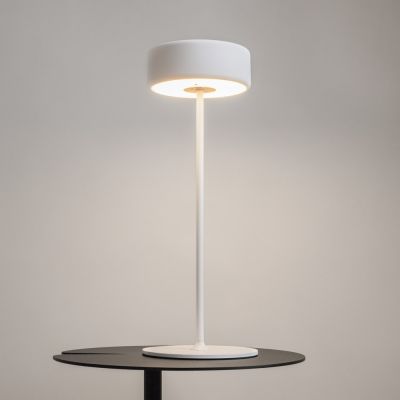 Maytoni Al Collaboration lampa stołowa 1x3 W biała MOD229TL-L3W3K2