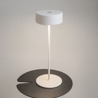 Maytoni Al Collaboration lampa stołowa 1x3 W biała MOD229TL-L3W3K2