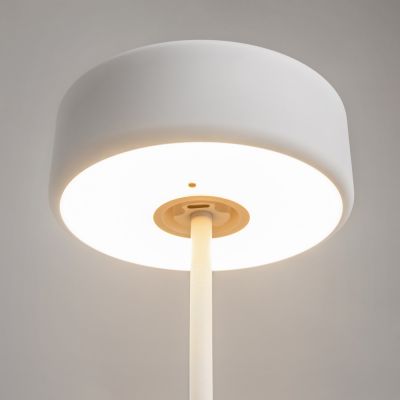 Maytoni Al Collaboration lampa stołowa 1x3 W biała MOD229TL-L3W3K2