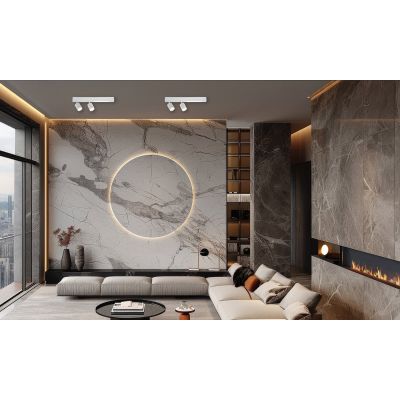 Milagro Magnet lampa podsufitowa 2x5 W biała ML1133