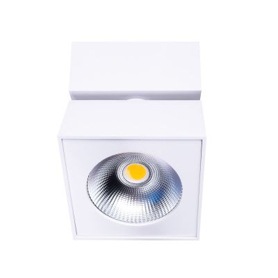 MaxLight Artu lampa podsufitowa 1x15 W biała C0106
