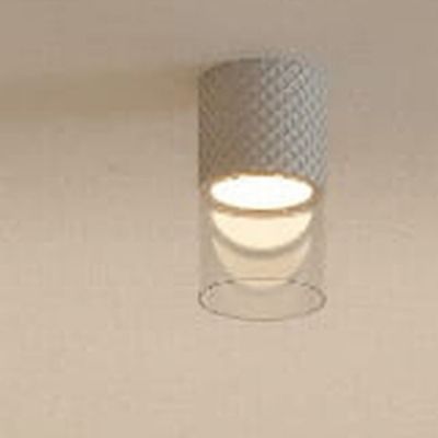 MaxLight Fusion lampa podsufitowa 1x7 W biała C0276